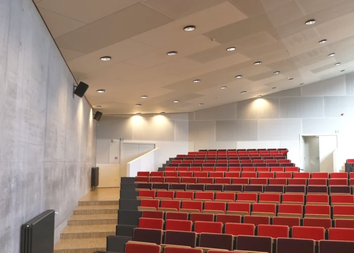 naglosnienie edukacja